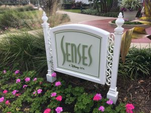 senses spa grand floridian walt disney world