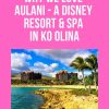Why We Love Aulani a Disney Resort & Spa in Ko Olina Hawaii