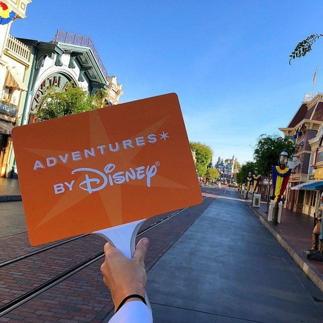 adventures by disney honeymoon