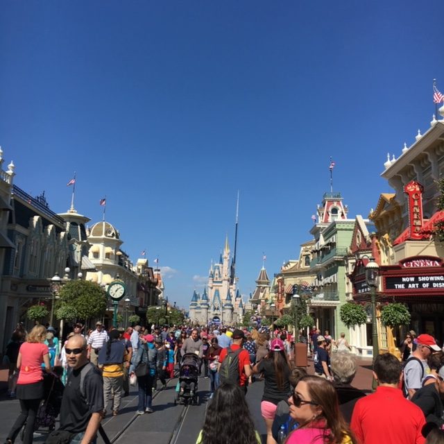 walt disney world magic kingdom cinderella castle