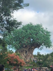 walt disney world animal kingdom