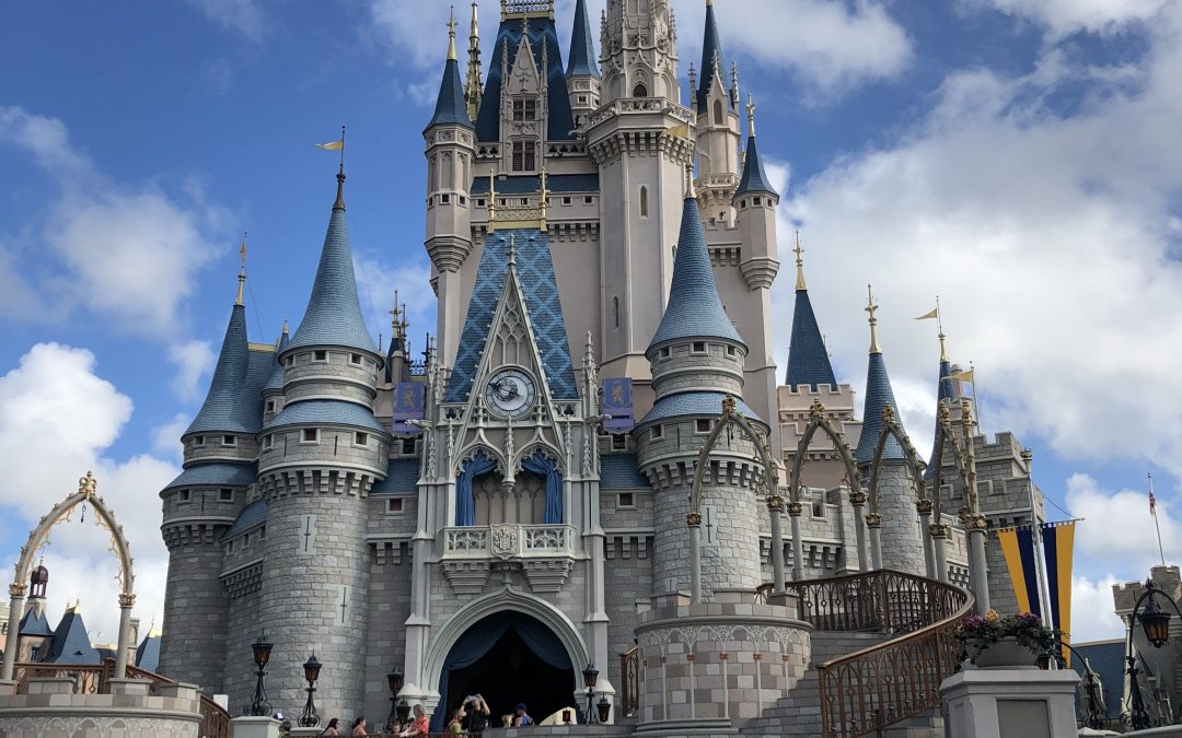 walt disney world magic kingdom castle
