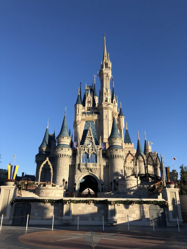 walt disney world magic kingdom castle