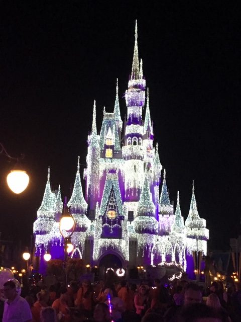 walt disney world cinderella castle