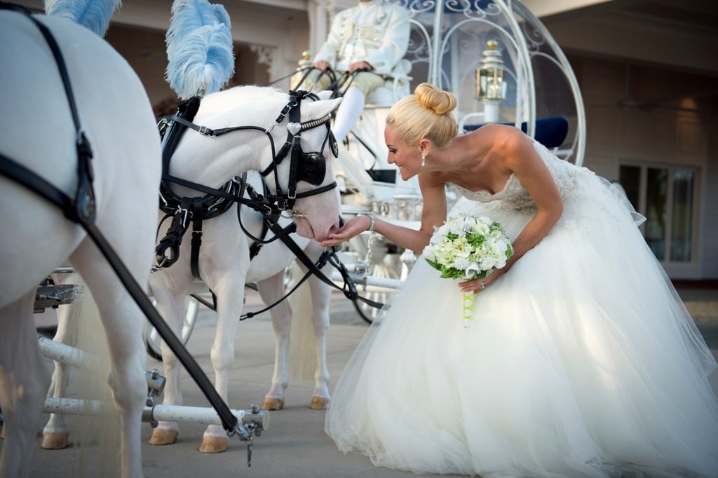 Disney Wedding