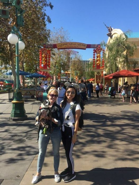 Lunar New Year Disneyland Disney California Adventure