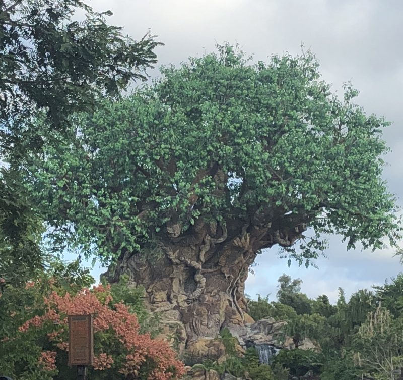 Disney's Animal Kingdom Tree of Life