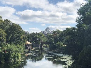 Expedition Everest Animal Kingdom