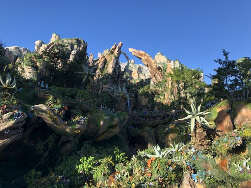 Disney's Animal Kingdom attractions I skip Pandora