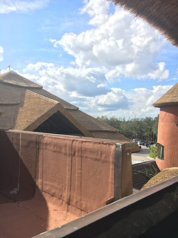 Animal Kingdom Lodge Standard View Room