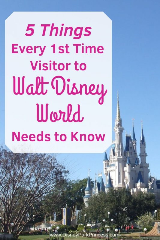 Five Things Every First Time Visitor to Walt Disney World Should Know #waltdisneyworld #disneyworld #wdw #disneyfirstvisit #disneytips #disneyworldtips