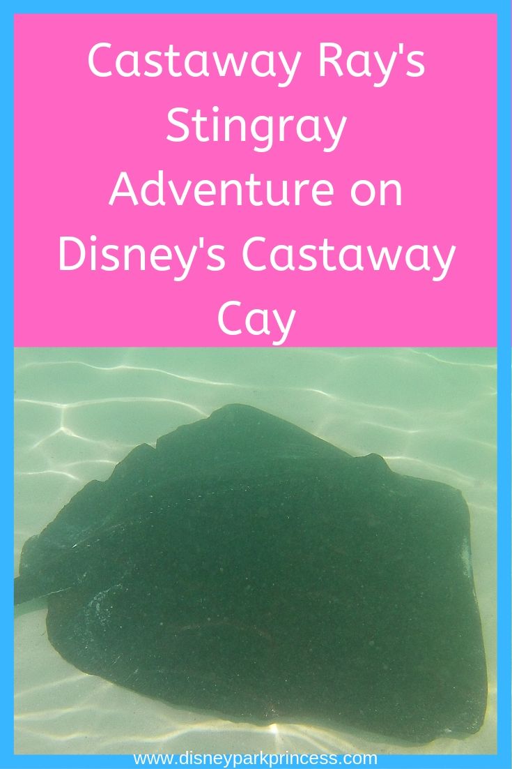 Castaway Ray's Stingray Adventure on Disney's Castaway Cay