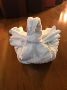 towel animal