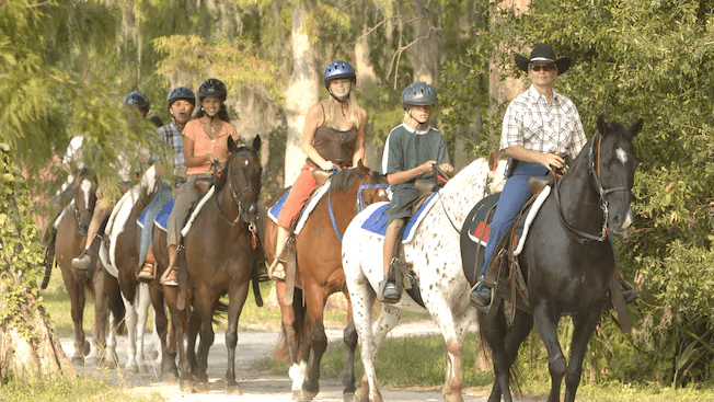 horseback riding still haven't done