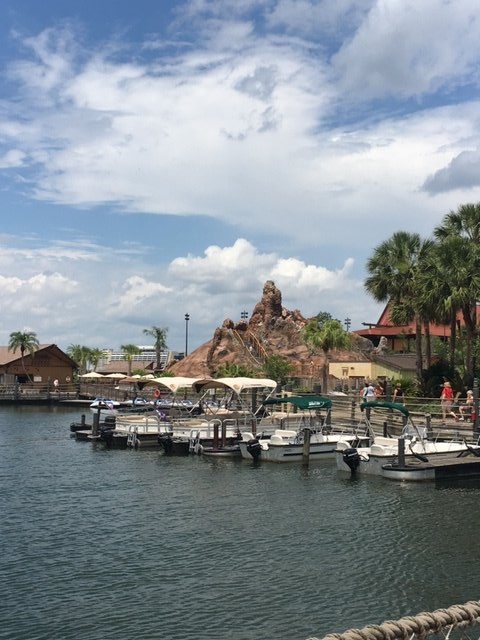 Fireworks Cruises at Walt Disney World