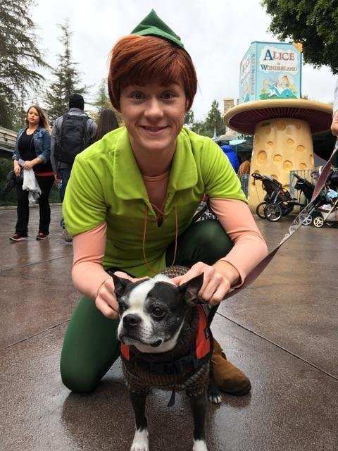 Pet Friendly Walt Disney World