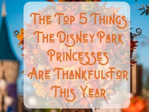 Thankful Disney Park Princess