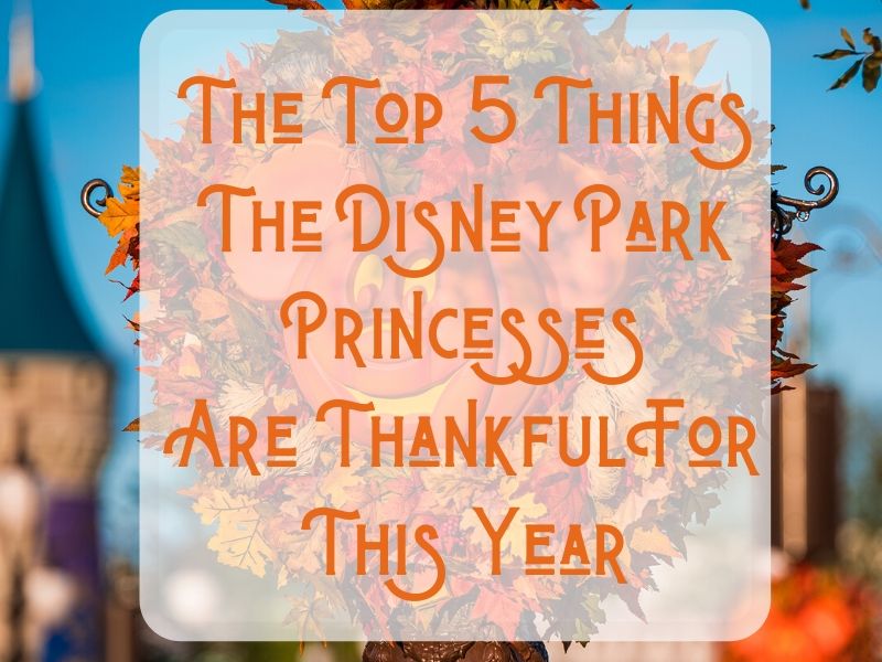 Thankful Disney Park Princess