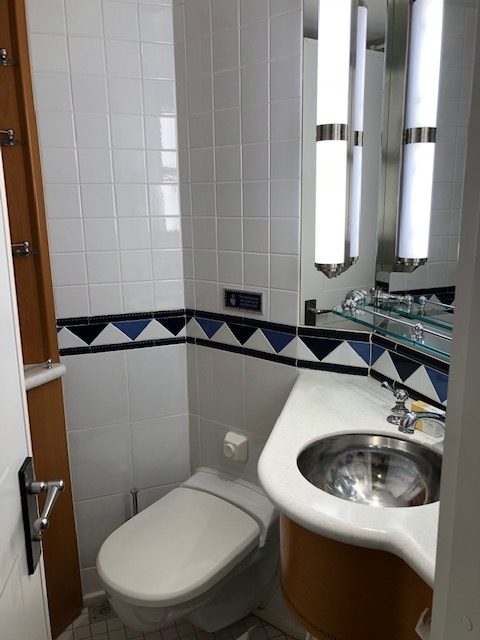 disney cruise line stateroom bathroom toilet common issues