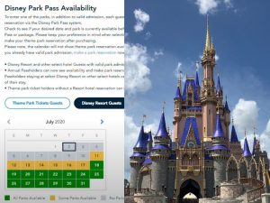 Walt Disney World Park Pass