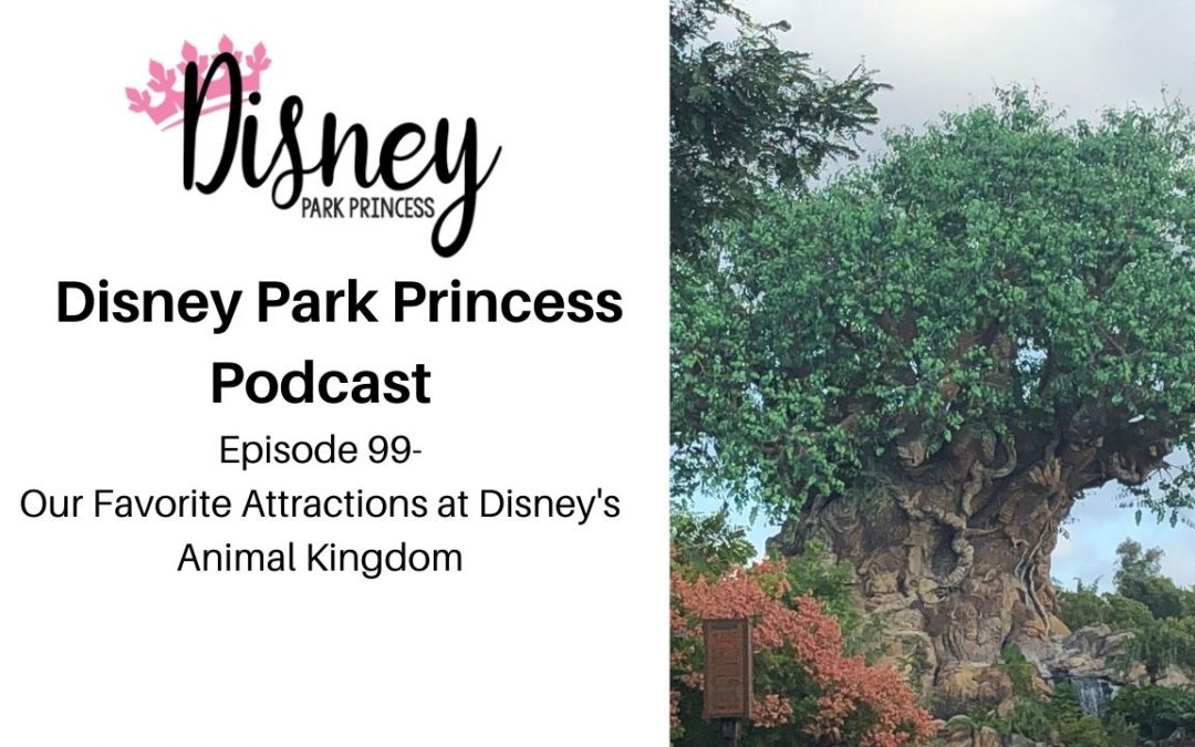 Disney Park Princess Episode 88 Our Favorite Attractions at Disney's Animal Kingdom