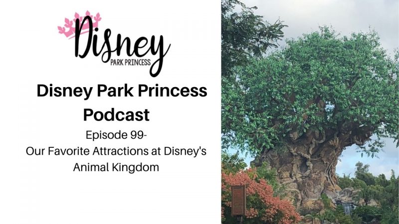 Disney Park Princess Episode 88 Our Favorite Attractions at Disney's Animal Kingdom