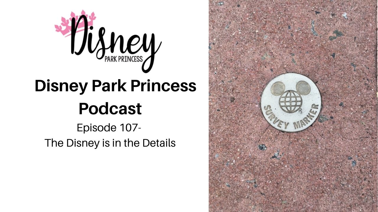 Episode 107- The Disney is in the Details