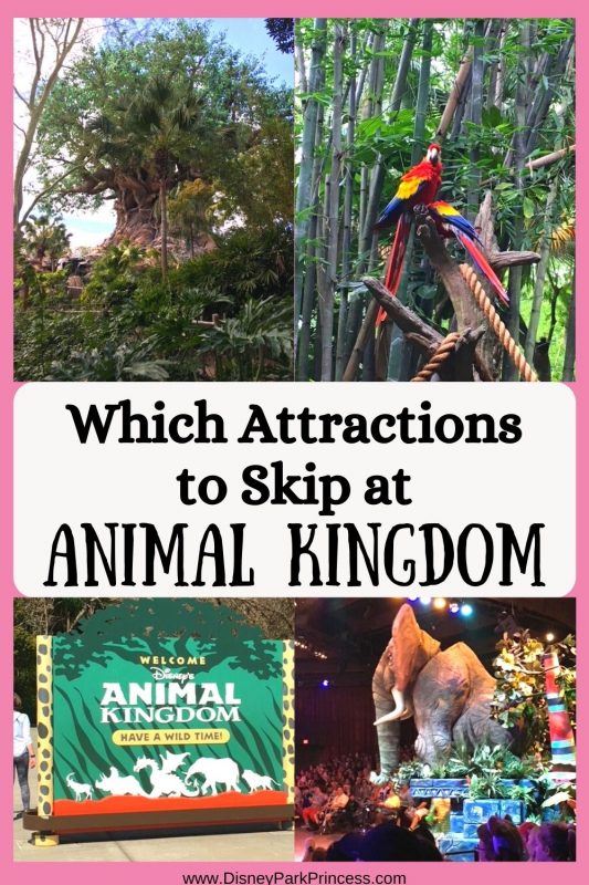 As much as I love Animal Kingdom, not every ride is a must-do! Learn which attractions I skip at Animal Kingdom in Walt Disney World. Let me know if you disagree!