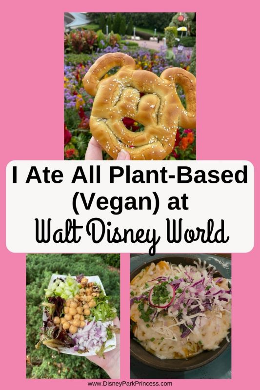 I Ate All Plant-Based (Vegan) at Walt Disney World