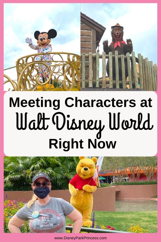 One of the most asked questions about Walt Disney World during the COVID-19 pandemic has been about meeting characters. Here is how you can still see characters at Walt Disney World (and why we kind of like it better!).