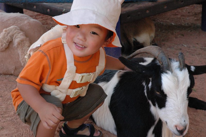 Child Safety Walt Disney World Ryan Harness Animal Kingdom