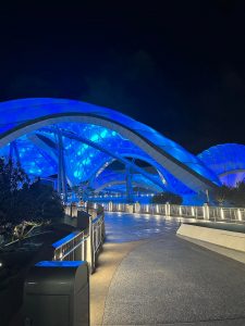 TRON Lightcycle Magic Kingdom Walt Disney World